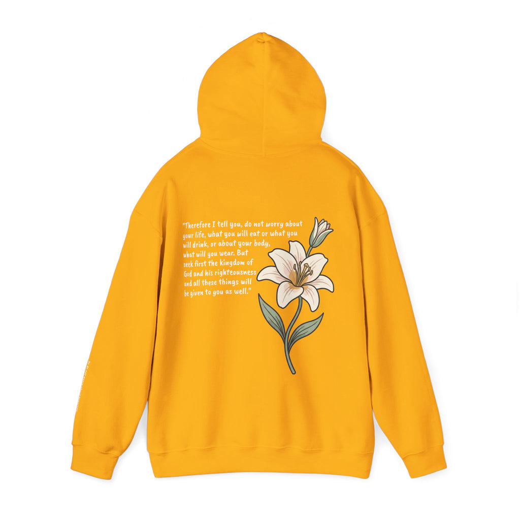 "Why Worry?" Unisex Lightweight Hoodie